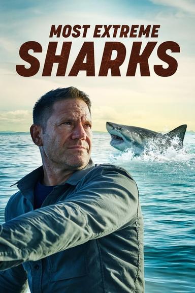 TV Show Poster