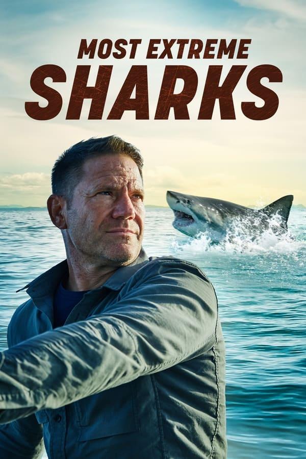 TV Show Poster