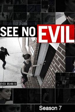 TV Show Poster