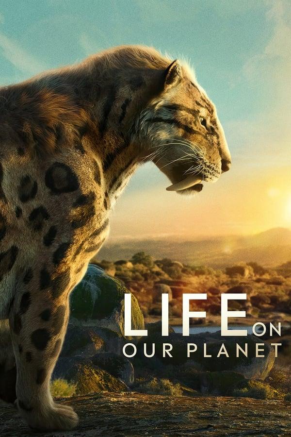 TV Show Poster