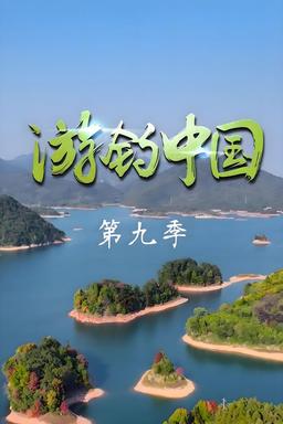TV Show Poster