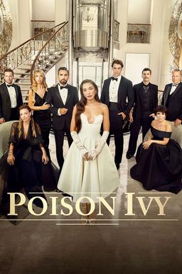 TV Show Poster