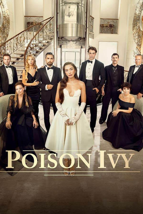 TV Show Poster