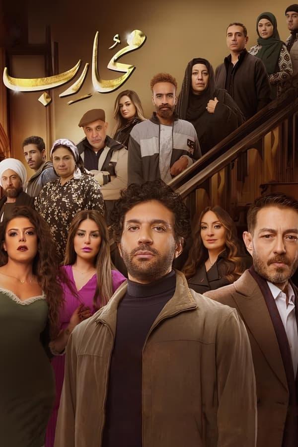 TV Show Poster