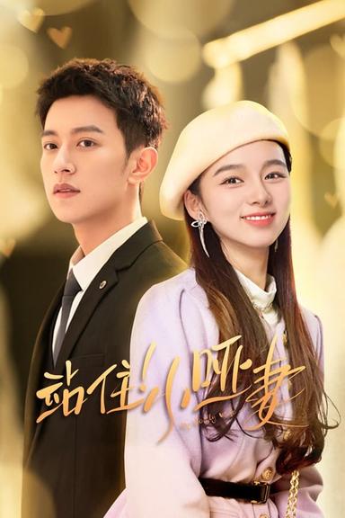 TV Show Poster