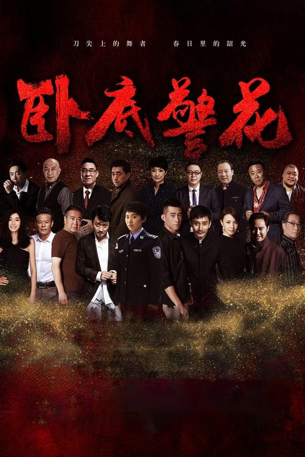 TV Show Poster