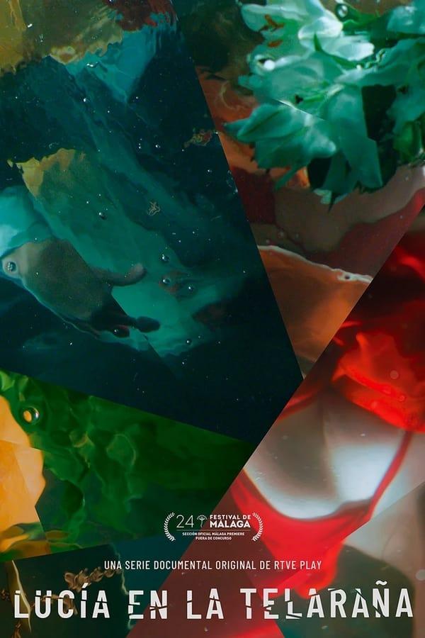 TV Show Poster