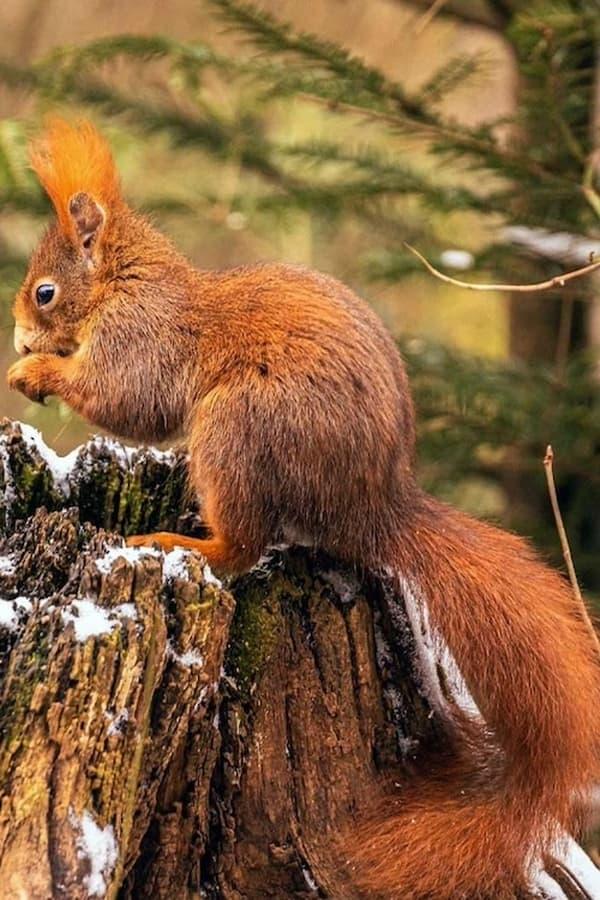 Постер сериала