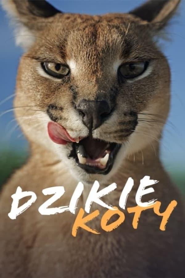 Постер сериала